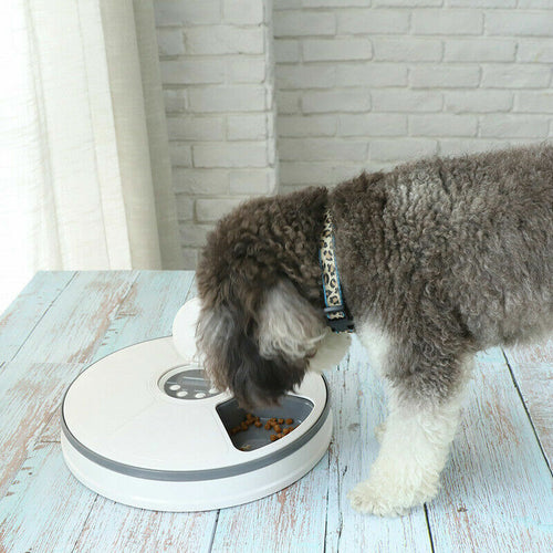 Automatic Day Meal Timed Pet Dog Cat Feeder Food Bowl Auto Holiday Dispenser