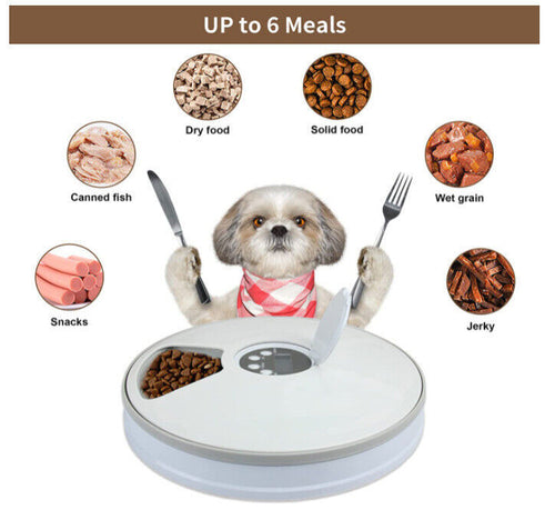 Automatic Day Meal Timed Pet Dog Cat Feeder Food Bowl Auto Holiday Dispenser